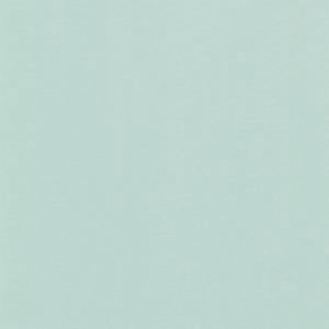 4128-10001-scaled-1-300x300