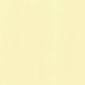 4128-10081-scaled-1-300x300