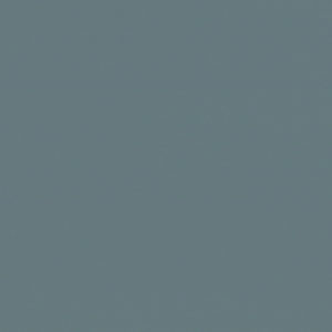 705-1070-e1611913984580-300x300