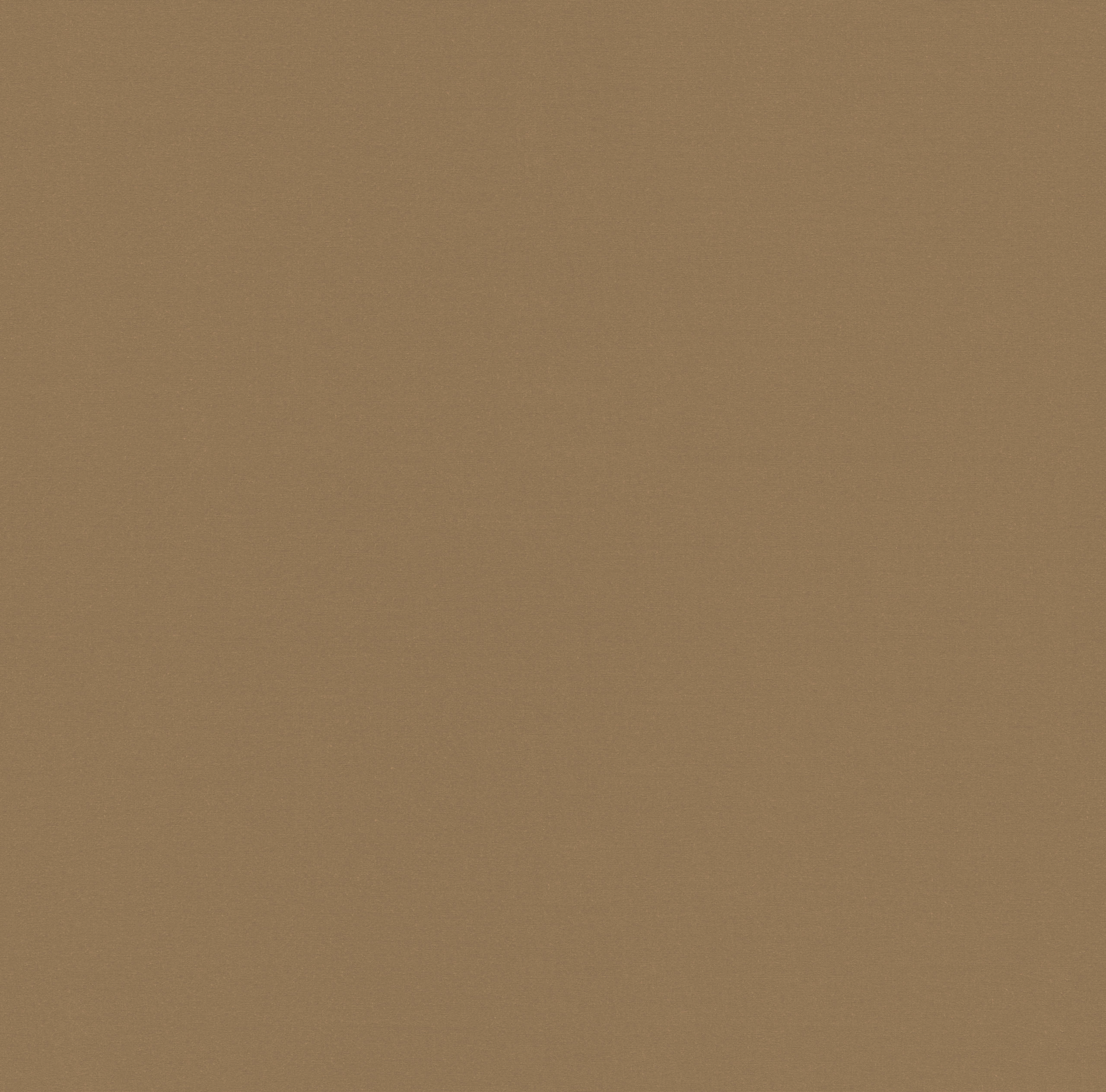 suntt-5528-152-toast-scaled-1